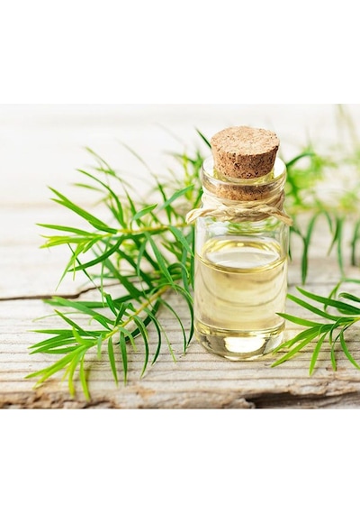 Çay Ağacı Yağı-hint Defnesi Yağı Distilasyon 20 Ml 20 ML