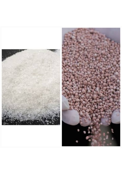 2 Kg Şeker Gübresi Çim Gübresi +2 Kg 15.15.15 Npk Taban Gübresi