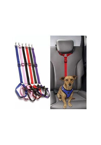 Köpek Emniyet Kemeri Ve Gezdirme Tasması, Sıfır Risk