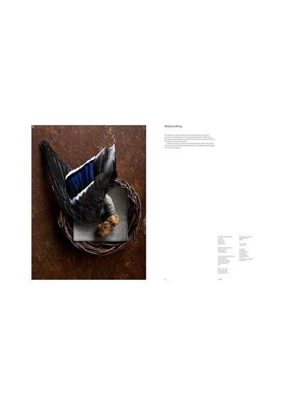 Noma 2.0: Vegetable, Forest, Ocean