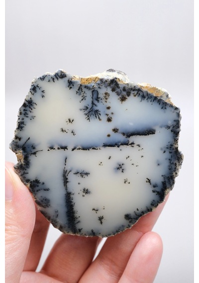 Krem Ve Beyaz Renkli Merlinit - Krem Dendritik Opal İle Jet-siyah Ağaç İçerikler