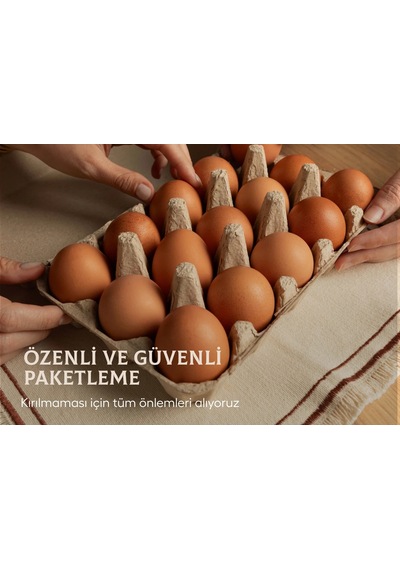 Kafessiz Köy Tavuğu Yumurtası 15 Adet