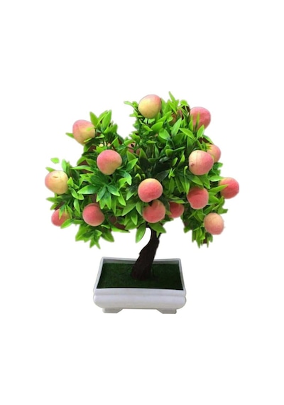 Bodur Bonsai Şeftali Ağacı Tohumu Ekim Seti 1 Adet Tohum + Saksı + Toprak