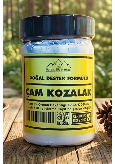 Nurbal Şifa Çam Kozalak Macunu 400 G