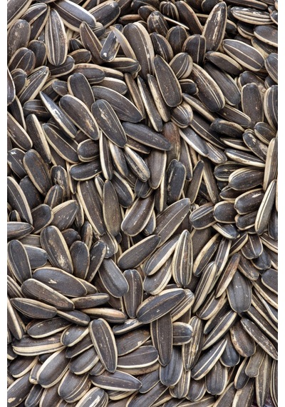 Ayçekirdeği 2x 500 G 2 Li Set 1 Kg