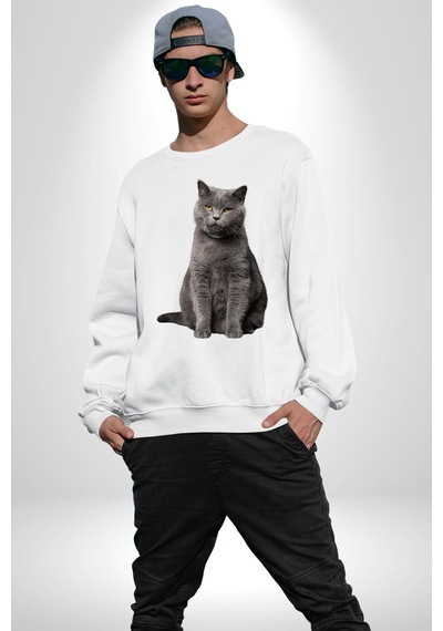 British Shorthair Kedi Unisex Beyaz Sweatshirt Beyaz