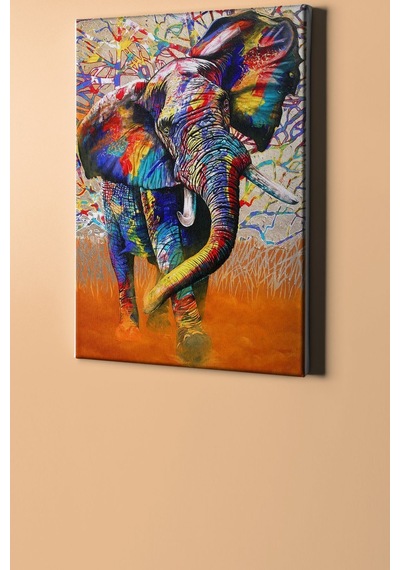 Webstyle Sayılarla Boyama Seti Kasnaklı Afrika Fili 40 X 50 Cm