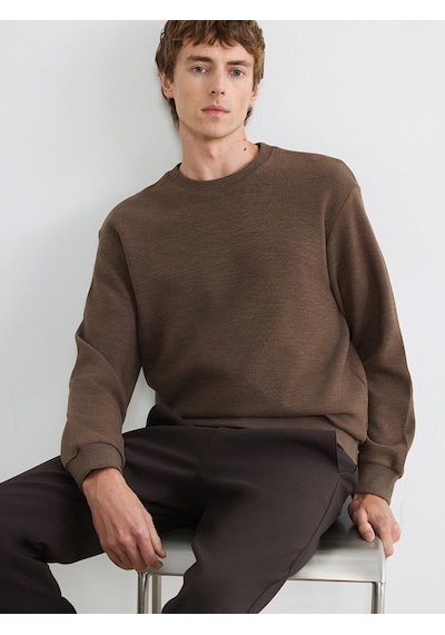 Lcw Vision Kahverengi Regular Fit Bisiklet Yaka Erkek Triko Sweatshirt