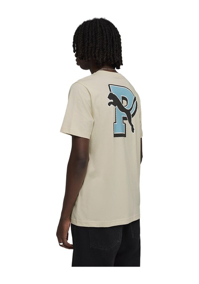 Puma Graphic Erkek Bej Günlük Stil T-shirt 69177687