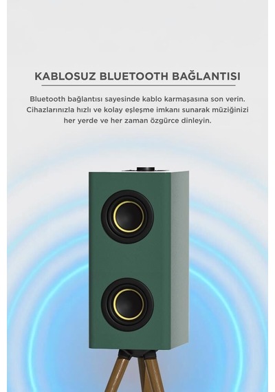 Salon Aracı Parti Cihazı Kablosuz Hoparlör 24w 3000mah Taşınabilir Ayaklı Speaker D67 Yeşil