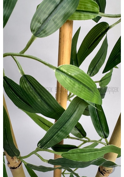 Biçiçek Bambu Ağaci 110 Cm 3 Gövdeli̇
