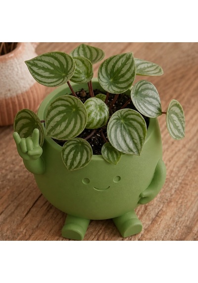 3d Baskı Smiley Face Planter - Gülümseyen Karakterli Saksı-yeşil