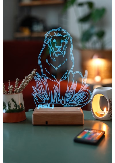 Aslan 16 Renk Kumandalı 3d Gece Lambası Çok Renkli