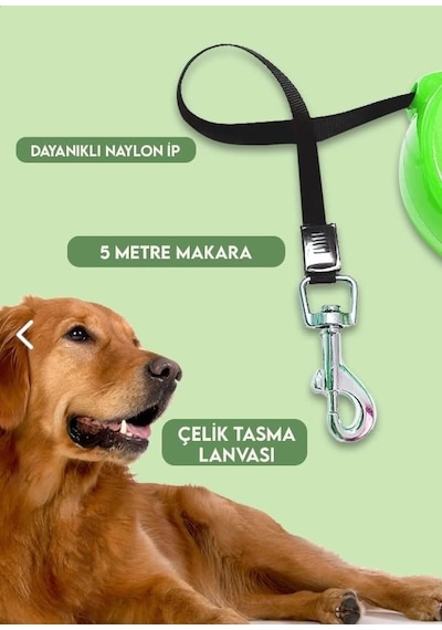 Ankanorm Makaralı Otomatik Köpek Tasması 5 Metre Yeşil