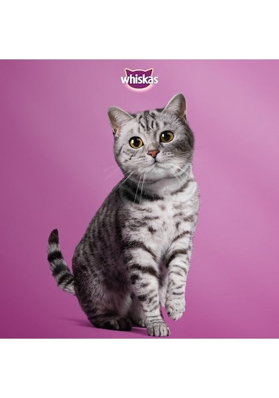 Whiskas Klasik Öğünler Sos İçinde Sığırlı ve Tavuklu Yetişkin Kedi Maması 13'lü 4 x 85 G