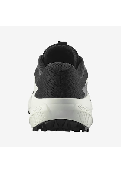 Salomon Alphaglıde Erkek Spor Ayakkabı L47801000 Siyah