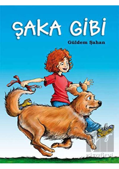 Tudem Yayınları - Şaka Gibi