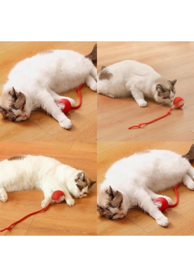 5 Adet Şarjlı Kedi Oyuncağı Titreşimli Hareketli Top