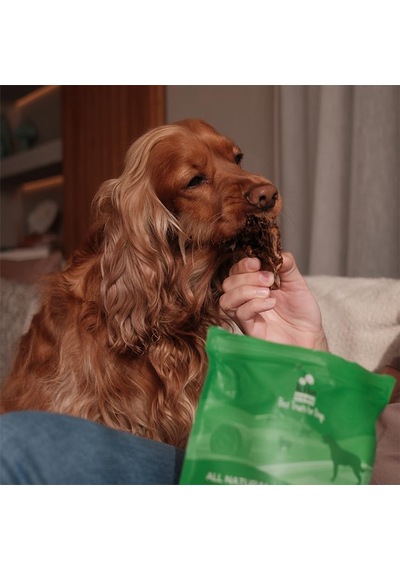 Ayrex Kito Dana Akciğer Küp Atıştırmalık Köpek Ödül Maması%100 Doğal, Glutensiz, Organik 100 Gr Dog Treat