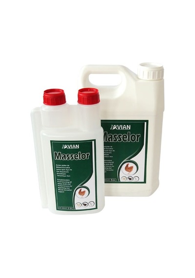 Masselor 1 Lt Kanatlılarda