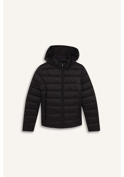 Defacto Su Geçirmez Regular Fit Dik Yaka Fermuarlı Şişme Mont E8689ax25aubk27 Siyah