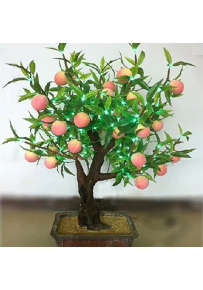 Şeftali Bonzai Ağacı Tohumu 1 Tohum + Bonsai Tohumu