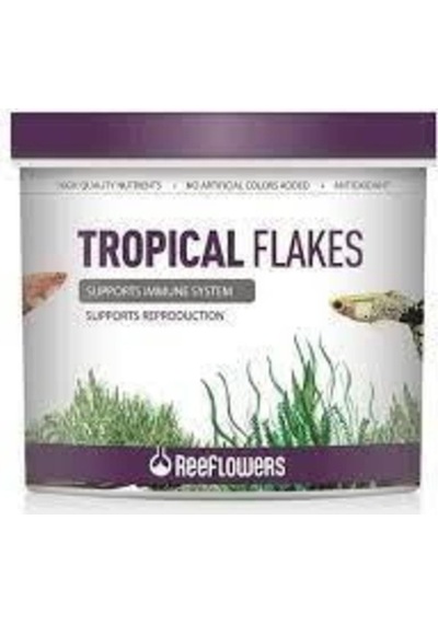 Tropical Flakes Pul Balık Yemi 100 Gram Paket