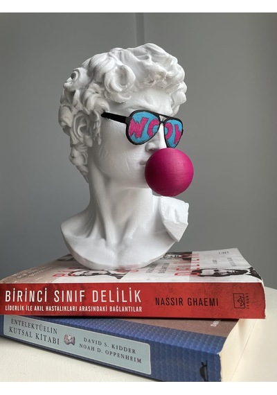 David Büst Dekoratif Obje Michelangelo Davut Heykeli Pop Art Ev Ofis Dekor Genel