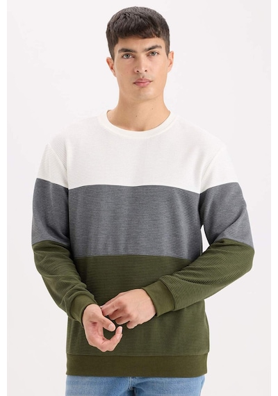 DeFacto Regular Fit Bisiklet Yaka Renk Bloklu Jakarlı Sweatshirt D5393AX24AUGN351