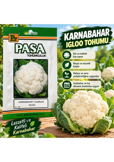 Karnabahar Tohumu 5 Gram