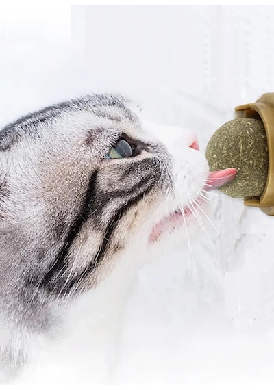 Kedi Yalama Topu Doğal Catnipli Yenilebilir Kedi Nanesi Otu Oyun Topu Oyuncağı Cat Top Oyuncak