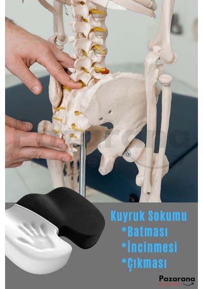 Visko Cocix Minder Oturma Minderi Basur Minderi Ortopedik Oturma Minderi Simidi Yastığı Beyaz