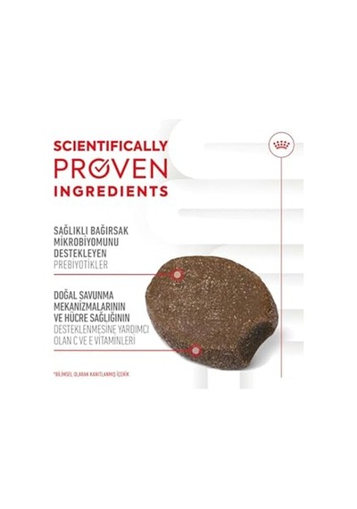 Ayrex Immunity&digestion Chews Yavru Köpekler İçin Bağışıklık Ve Sindirim Sistemini Destekleyen Tamamlayıcı Ö
