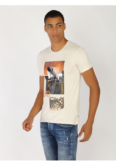 Roberto Cavalli Erkek Tshirt /M.Rob.0421.14024 Bej