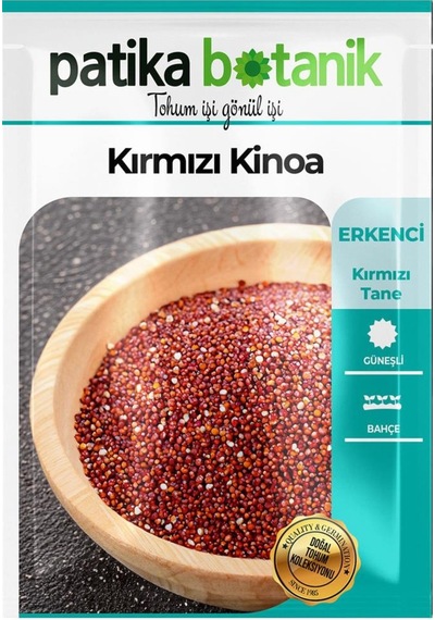 100 Adet Kırmızı Kinoa Tohumu