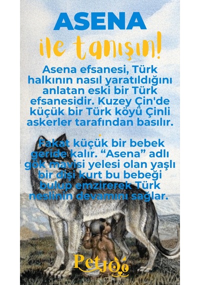 Petjoo 25.Asena Sarı-Mavi Qr'lı Köpek Künyesi