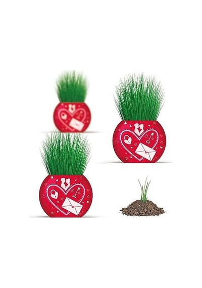 Yuup Aşk Temalı 6'lı Çim Adam Bitki Yetiştirme Seti Romantik Ve Eğlenceli Hediye