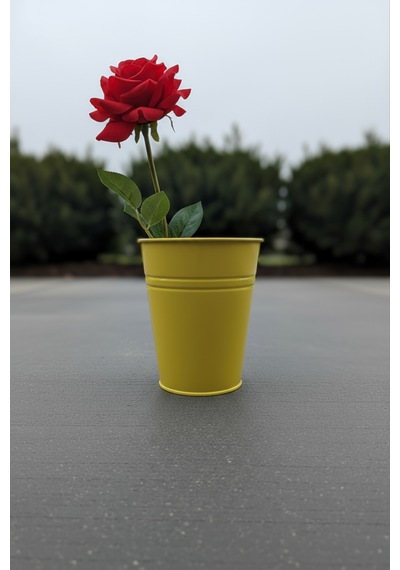 Konik Metal Saksı & Vazo - 25 Cm Dekoratif Çok Amaçlı Renkli Çiçeklik 25x23/15 Cm Sarı