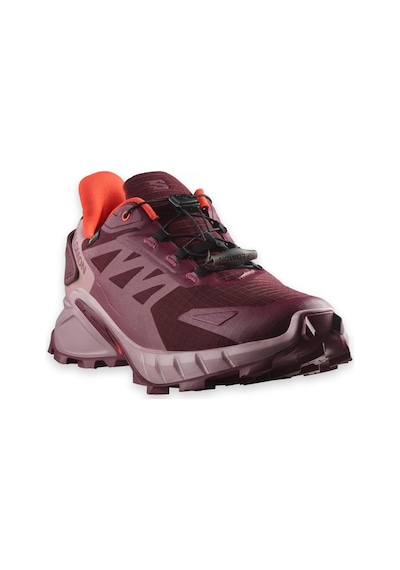 Salomon Supercross 4 Gtx W Tawny Port/deauville Mauve/cherry Toma 001