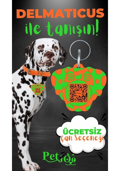 Petjoo 28.Delmaticus Yeşil-Turuncu Qr'lı Köpek Künyesi
