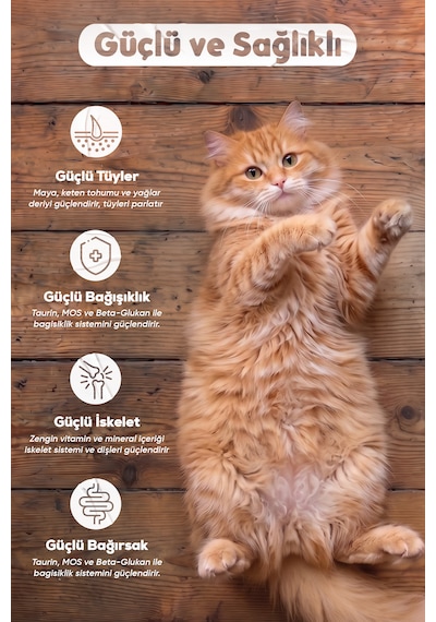 Petissimo Gourmet Gerçek Tavuklu Premium Yetişkin Kedi Maması 2,5 Kg - Kısırlaştırılmış, Düşük Tahıllı