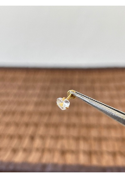 316 L Cerrahi Çelik Kalp Model Zirkon Taşlı Dudak Helix Kıkırdak Tragus Piercingi Altın
