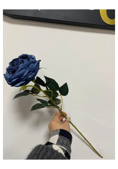 Mavi Austın Gülü 60cm Açık Saks Mavi