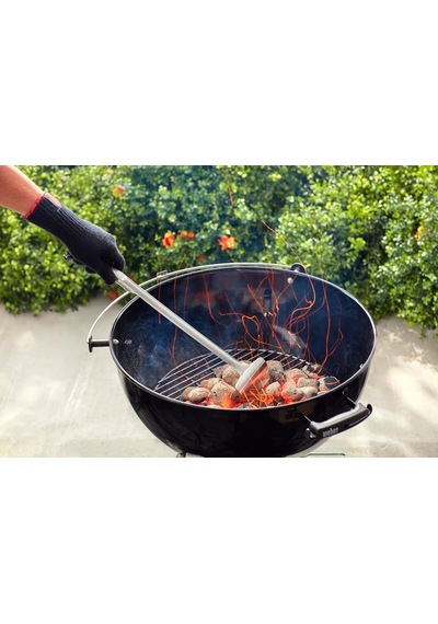 Weber 17590130 Briguet, 4 Kg, Ep