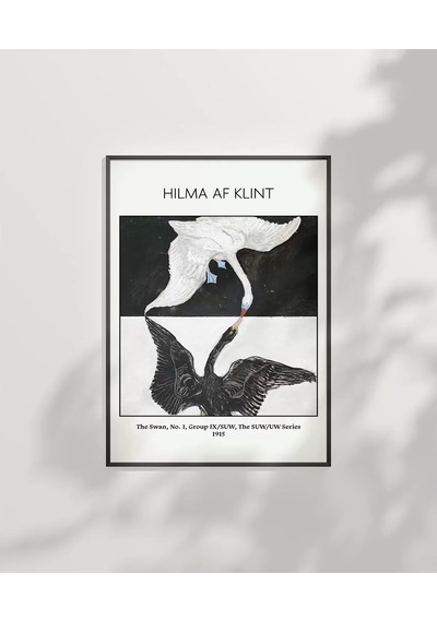 Çerçevesiz Poster Hilma Af Klint Kuğu