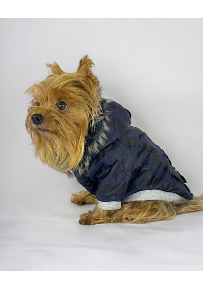 Kemique Black Navy Comfie Köpek Montu Ceketi Köpek Dış Giyim
