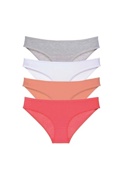 4 Adet Süper Eko Set Likralı Kadın Slip Külot Gri Beyaz Pudra Fuşya Çok Renkli