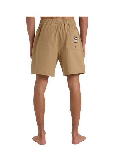 Bıllabong Billabong Every Other Day Lb Erkek Kahverengi Volley Short 18178 Kahve
