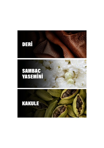 Ombre Leather 50 Ml Erkek Parfüm Odunsu