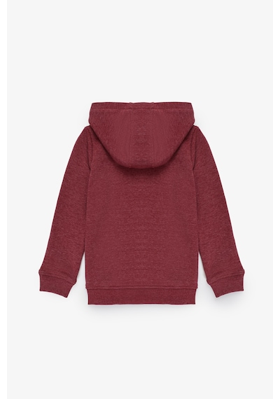 U.S. Polo Assn. Erkek Çocuk Sweatshirt 50314005-vr104 Koyu Frambuaz/dark Raspberry